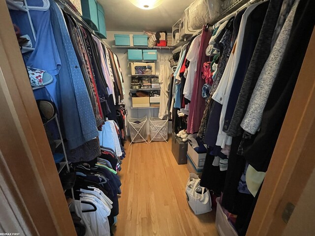 walk in closet with light wood-type flooring