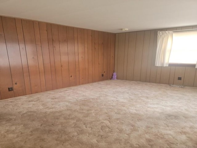 empty room featuring wooden walls and carpet floors
