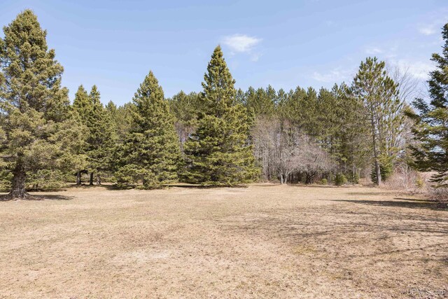view of local wilderness with a view of trees