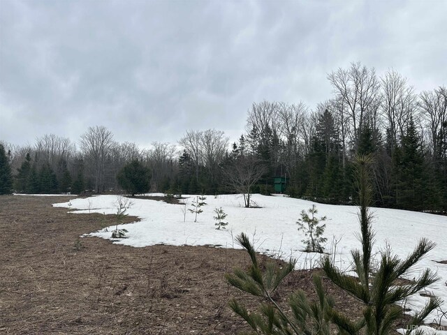 view of yard featuring a forest view