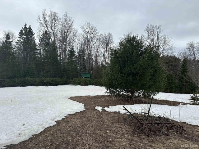 view of yard featuring a wooded view