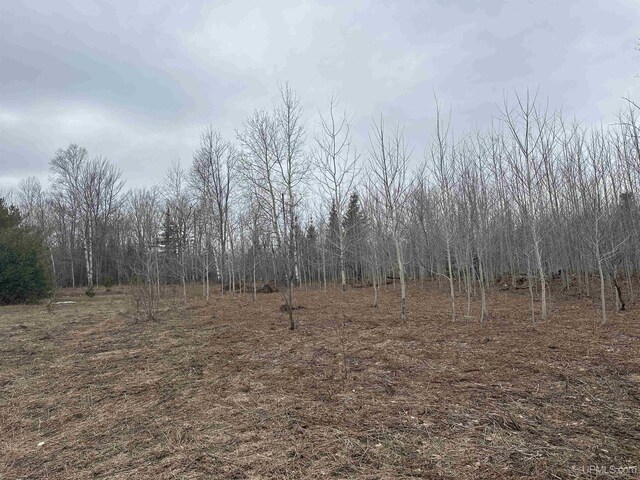 view of local wilderness