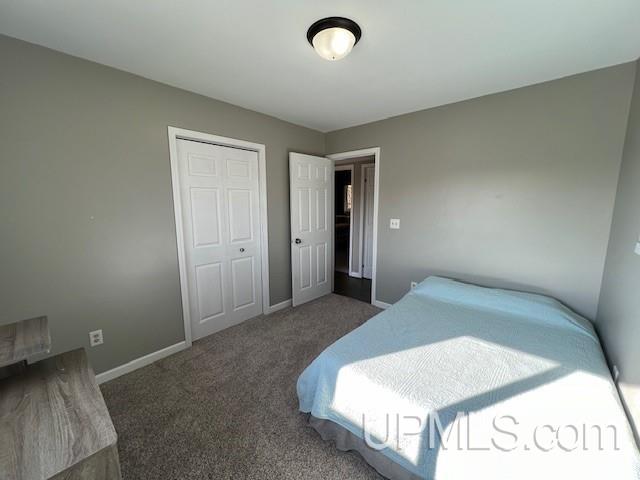 bedroom featuring baseboards, carpet, and a closet