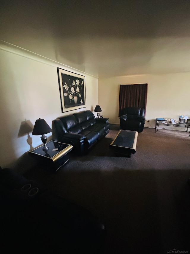 view of carpeted living area