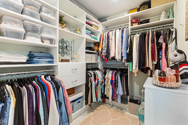 view of spacious closet