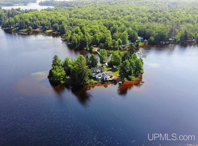 bird's eye view with a water view and a forest view
