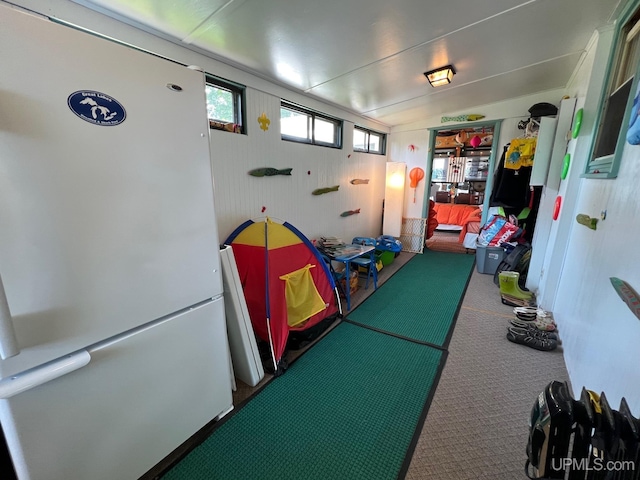 recreation room with carpet
