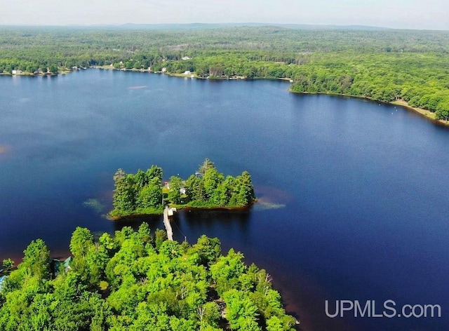 aerial view featuring a water view and a forest view