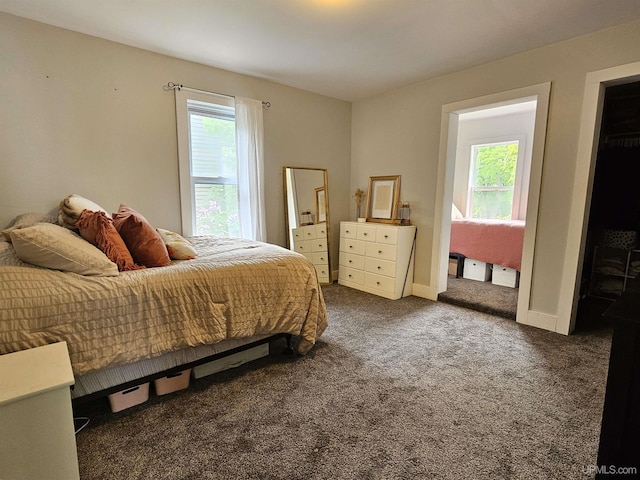 bedroom featuring multiple windows and dark carpet