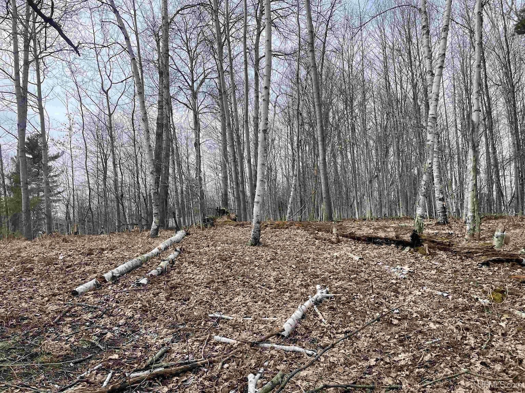 TBD Smith Lake Dr, Manistique, MI 49854