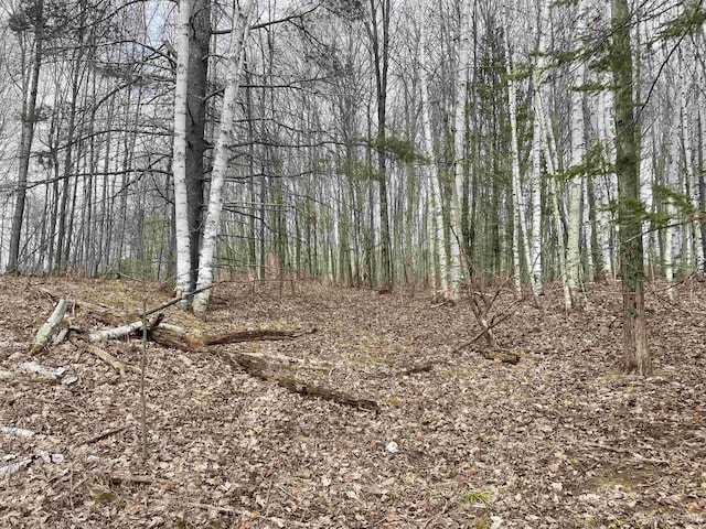 TBD Smith Lake Dr, Manistique, MI 49854