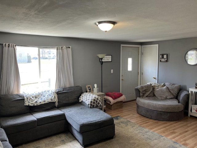 living room featuring wood finished floors