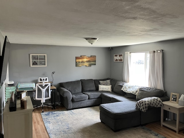 living room featuring wood finished floors