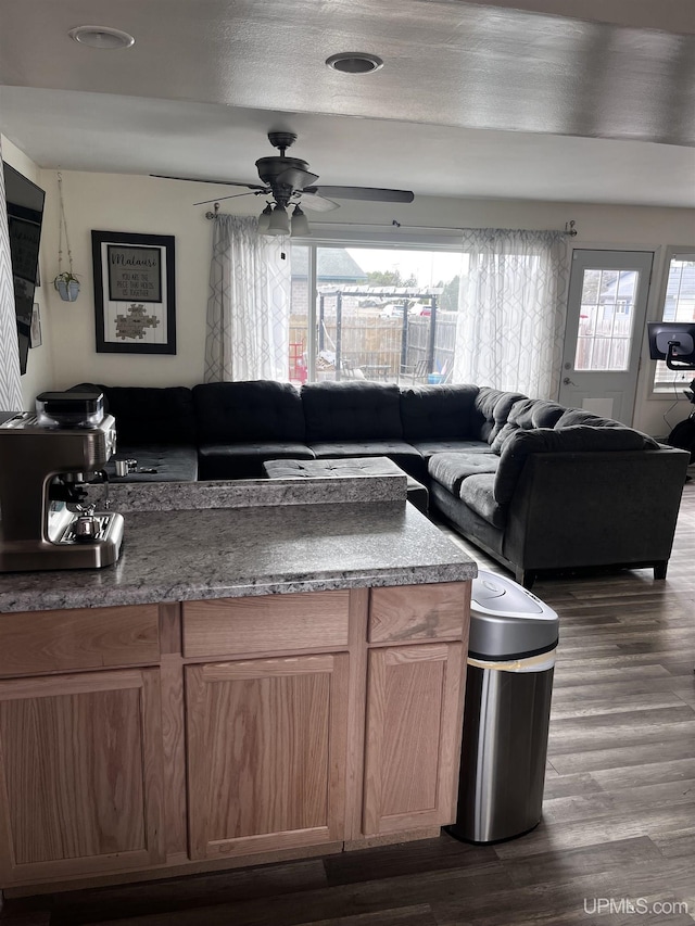 living area featuring dark wood-type flooring and ceiling fan
