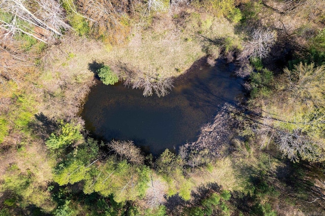 4358 Lakeshore Rd, Lexington, MI 48450 - aerial view with a water view