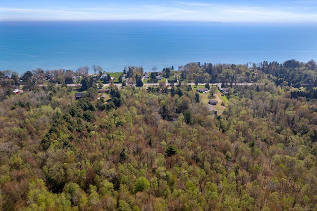 4358 Lakeshore Rd, Lexington, MI 48450 - aerial view