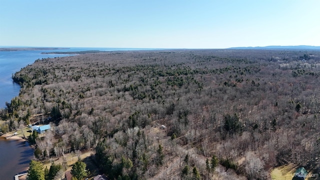 bird's eye view with a wooded view and a water view