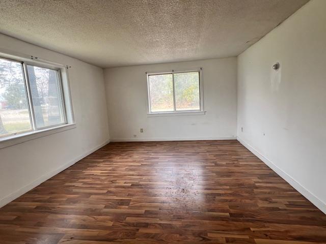 4110 N Clare Ave, Harrison, MI 48625 - unfurnished room with baseboards, a textured ceiling, dark wood-style floors, and a healthy amount of sunlight