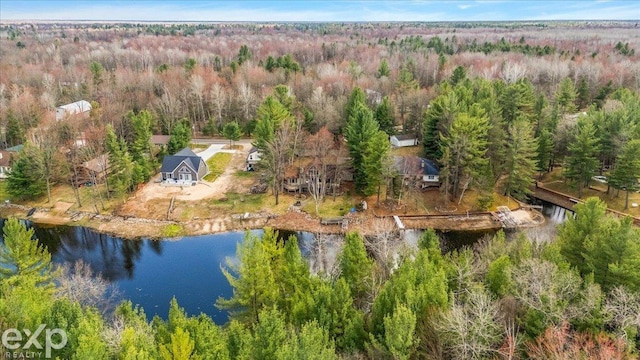 aerial view with a water view and a view of trees