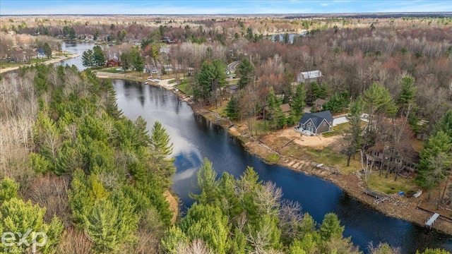 aerial view featuring a water view and a view of trees