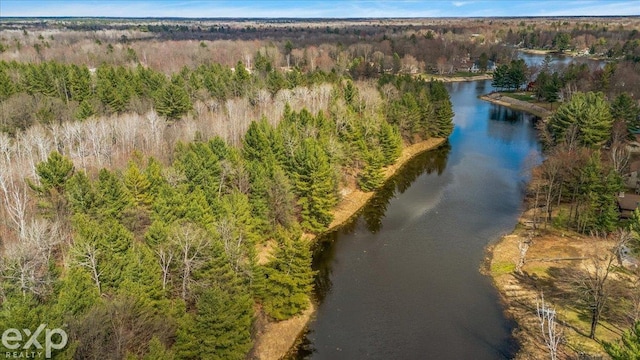 bird's eye view featuring a water view and a view of trees