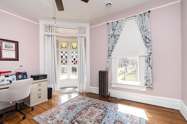 office featuring a ceiling fan, radiator heating unit, a wealth of natural light, and wood finished floors