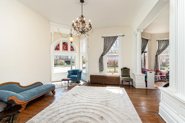 living area with a wealth of natural light, ornate columns, and radiator heating unit