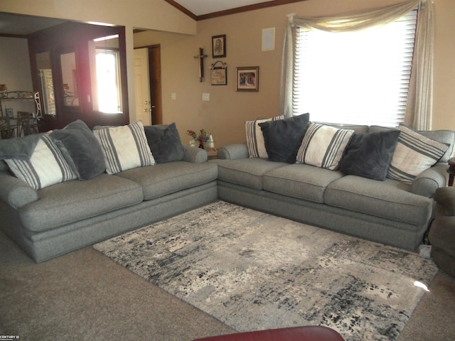 carpeted living area featuring ornamental molding and lofted ceiling