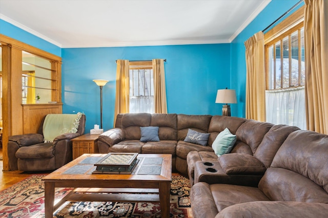 living room with crown molding, wood finished floors, and a healthy amount of sunlight