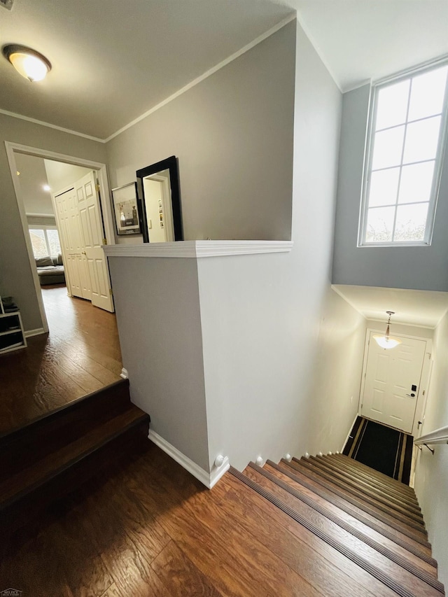 staircase with wood finished floors and baseboards