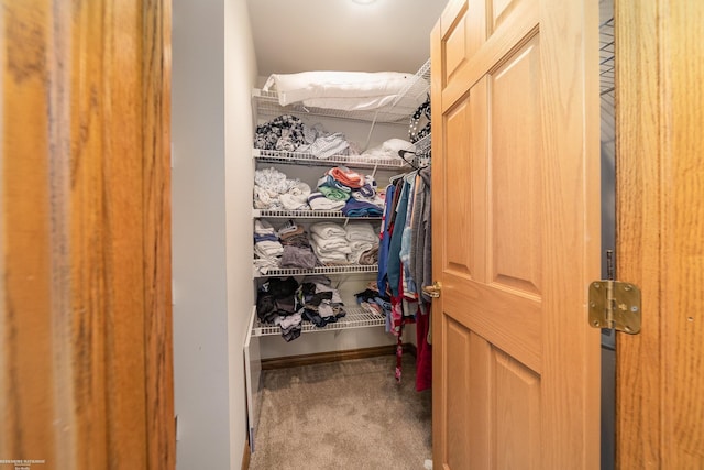 walk in closet with carpet