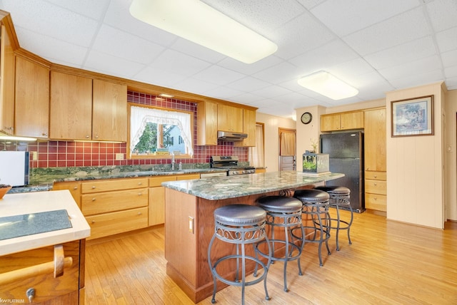 1121 S Lakeshore Rd, Carsonville, MI 48419 - kitchen with light wood-style floors, freestanding refrigerator, a center island, under cabinet range hood, and stainless steel gas stove