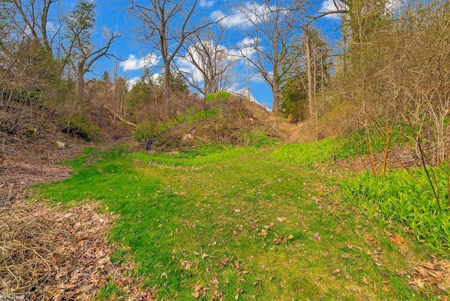 1121 S Lakeshore Rd, Carsonville, MI 48419 - view of nature