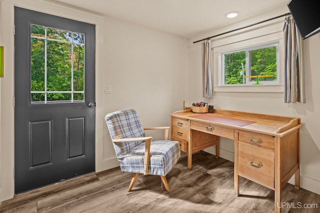 office area featuring wood finished floors