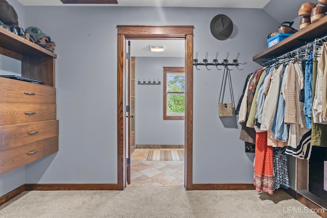 spacious closet with carpet