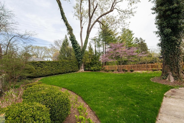 view of yard featuring fence