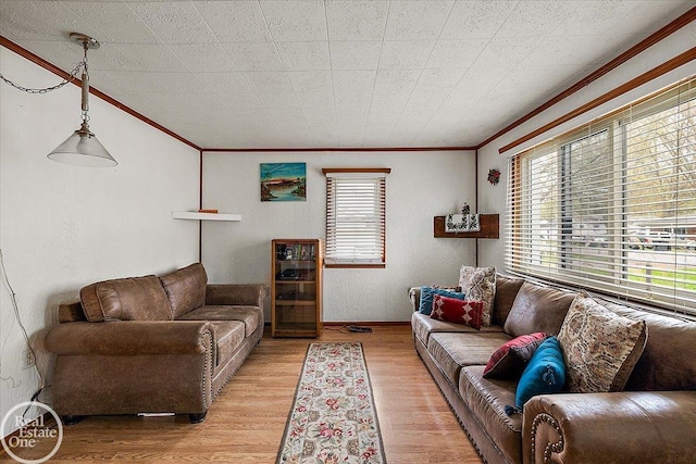living area featuring crown molding and light wood-type flooring