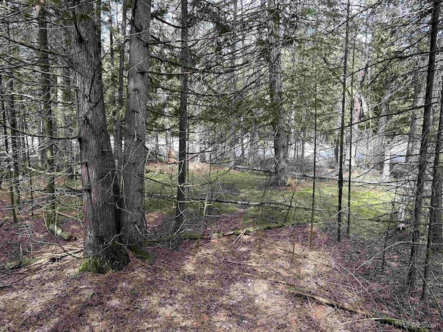 TBD SE Ll.25 Rd, Garden, MI 49835