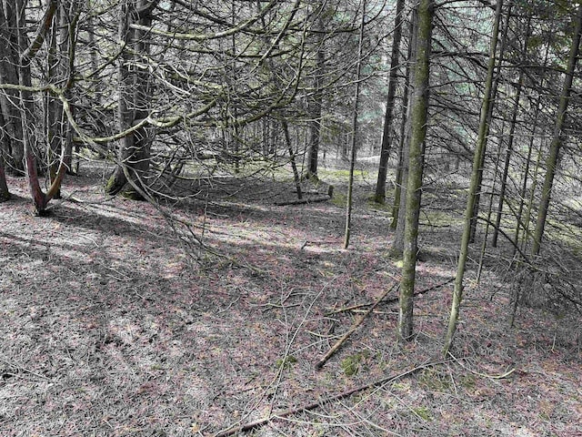 TBD SE Ll.25 Rd, Garden, MI 49835