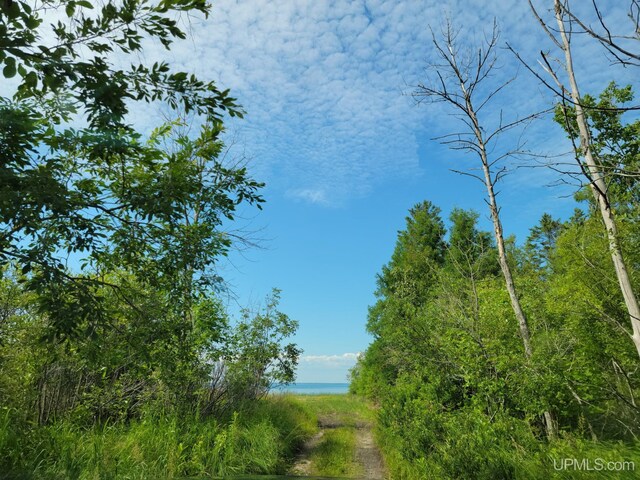 TBD SE Ll.25 Rd, Garden, MI 49835