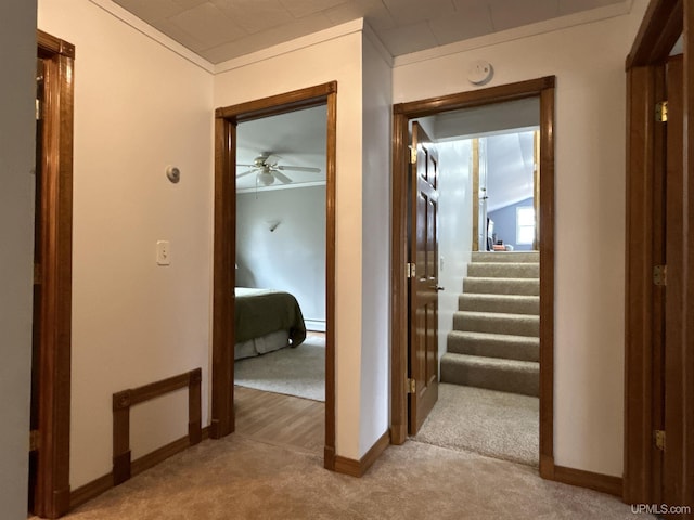 corridor featuring stairway, baseboards, a baseboard radiator, ornamental molding, and carpet flooring