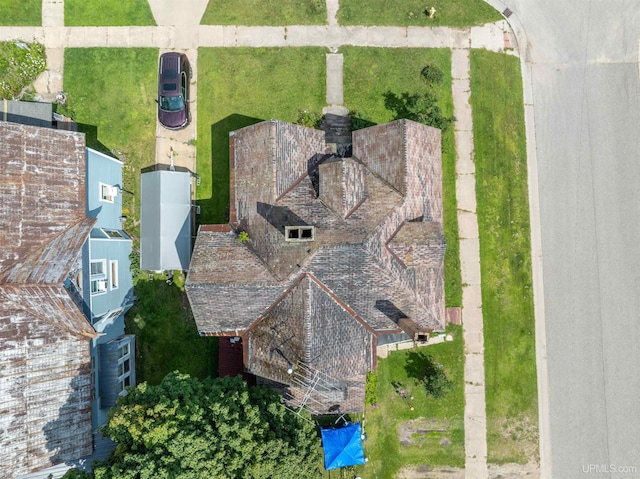 bird's eye view