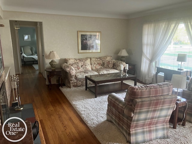 living room with wood finished floors