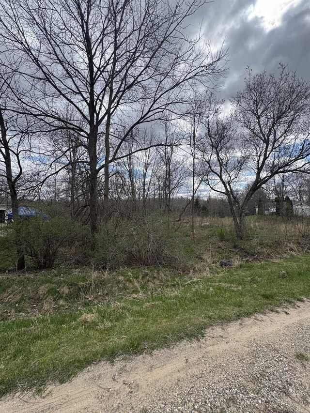 0 Ichabod Trl, Beaverton, MI 48612