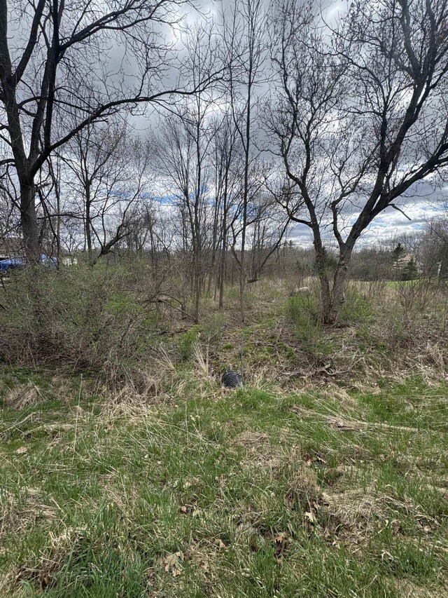 0 Ichabod Trl, Beaverton, MI 48612