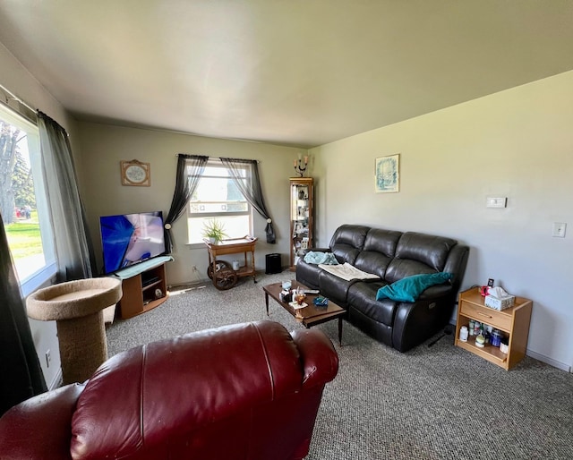 view of carpeted living room