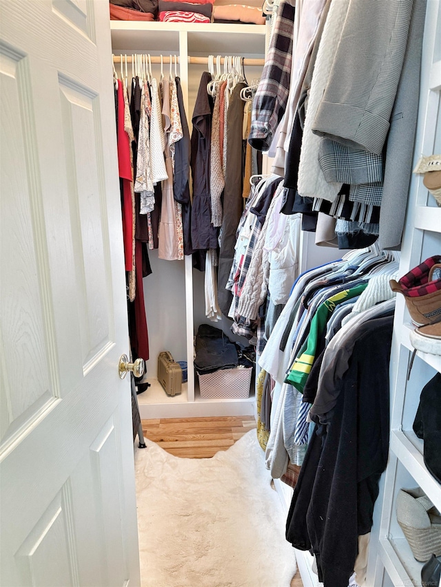 view of spacious closet