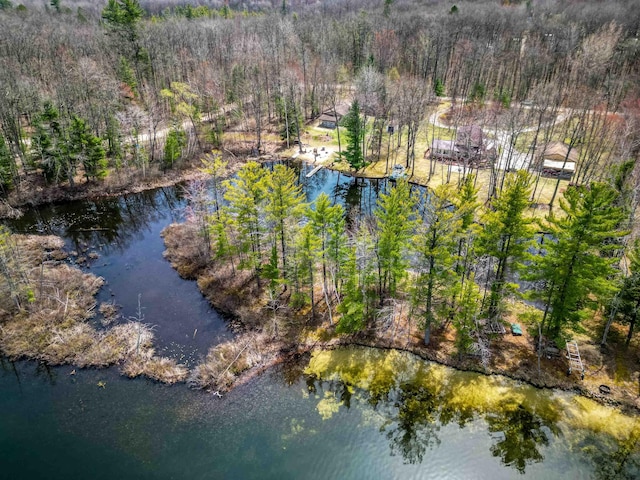 5421 Andrew St, Harrison, MI 48625 - drone / aerial view of a heavily wooded area and a nearby body of water