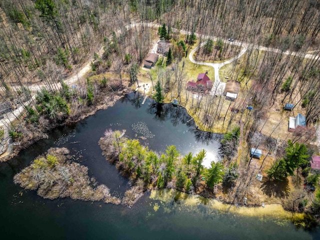 5421 Andrew St, Harrison, MI 48625 - aerial view of property's location featuring a large body of water