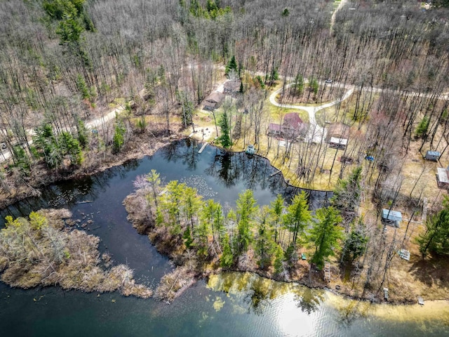5421 Andrew St, Harrison, MI 48625 - bird's eye view of a large body of water